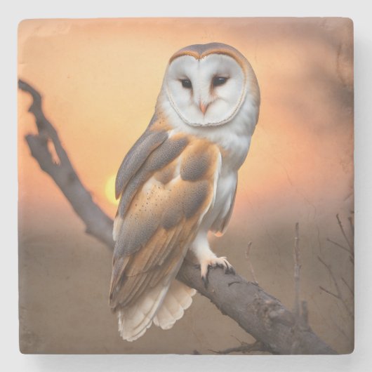 Beautiful Barn Owl Stenen Onderzetter (Voorkant)