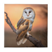 Beautiful Barn Owl Tegeltje (Voorkant)