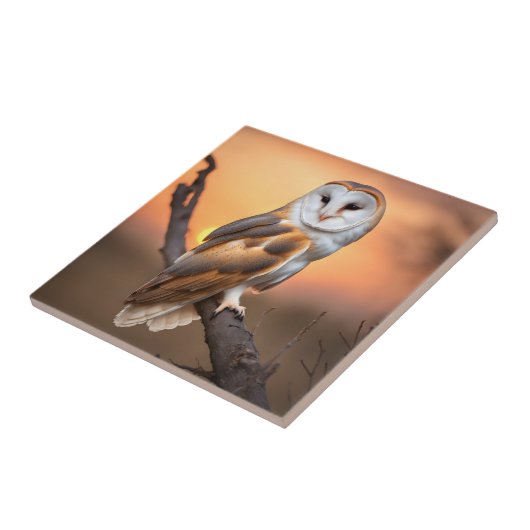 Beautiful Barn Owl Tegeltje (Zijkant)