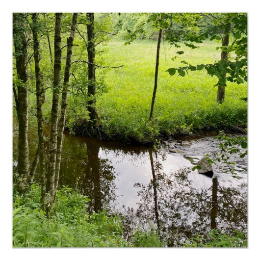 Beautiful belgian forest and river, travel perfect poster (Voorkant)