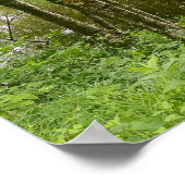 Beautiful belgian forest and river, travel poster (Hoek)