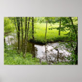 Beautiful belgian forest and river, travel poster (Voorkant)