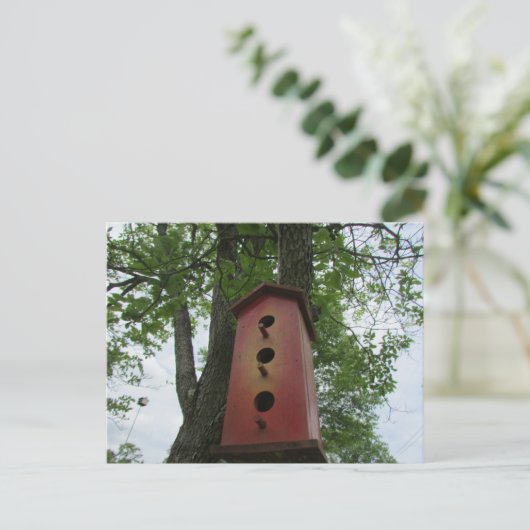 Beautiful bird house hanging from the tree briefkaart (Staand voorkant)