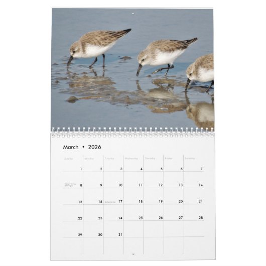 Beautiful Birds Calendar Kalender (Mar 2026)