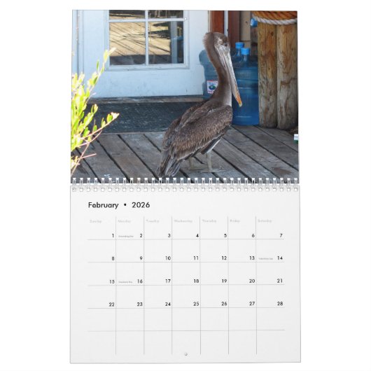 Beautiful Birds Calendar Kalender (Feb 2026)