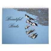 Beautiful Birds Calendar Kalender (Hoes)