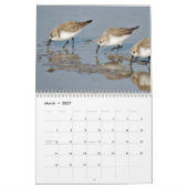 Beautiful Birds Calendar Kalender (Mar 2027)