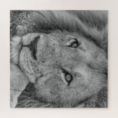 Beautiful Black and White Lion Face Photo Legpuzzel (Horizontaal)