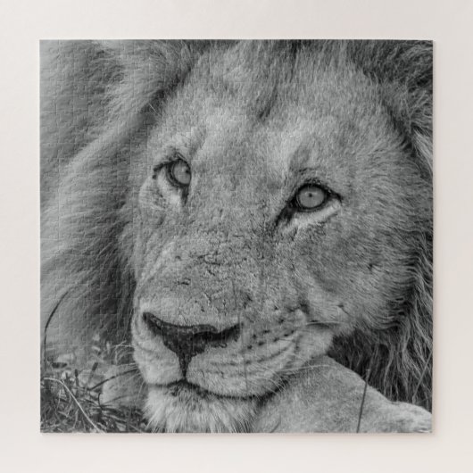 Beautiful Black and White Lion Face Photo Legpuzzel (Verticaal)