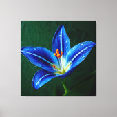 Beautiful Blue Flower - Artistic Photograph Canvas Afdruk (Voorkant)