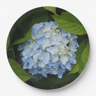 Beautiful Blue Hydrangea Floral Foto Papieren Bordje