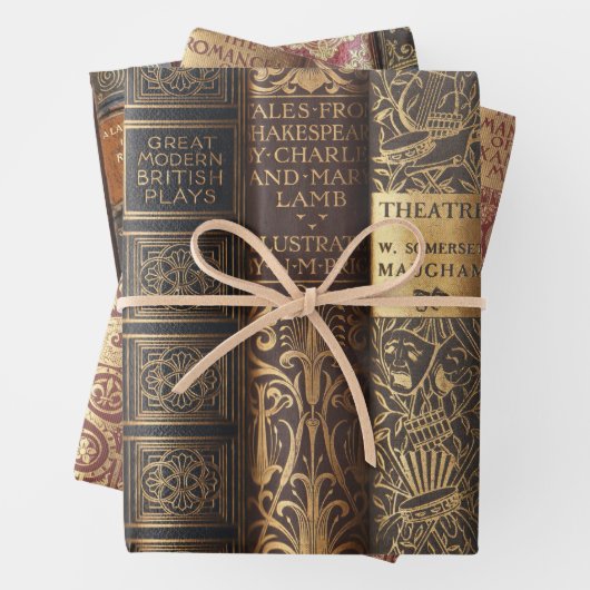 Beautiful Book Spines (Antique & Art Nouveau) Inpakpapier Vel (In situ)