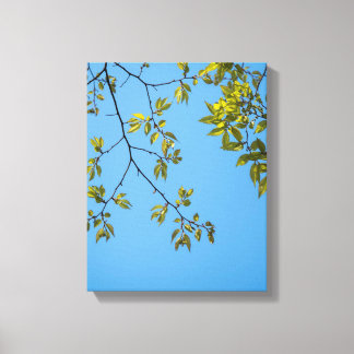 beautiful branch with green and yellow leaves hug canvas afdruk