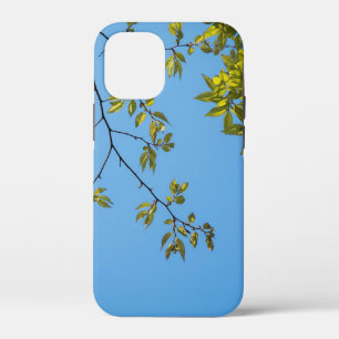 beautiful branch with green and yellow leaves hug Case-Mate iPhone case