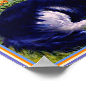 Beautiful Cat, named Peter, Louis Wain famous Pet Poster (Hoek)