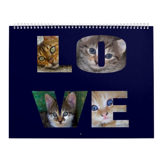 Beautiful Cats For All Who Love Them 2023 Calendar Kalender (Hoes)