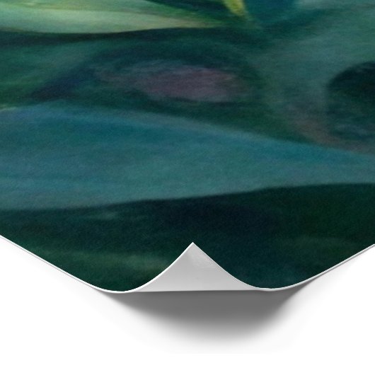 Beautiful Fairy Poster (Hoek)