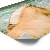 Beautiful Fjord Horse 7" x 5"  Archival Poster (Hoek)