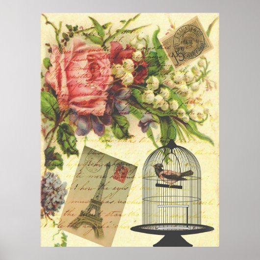 Beautiful girly vintage roses flowers Eiffel Tower Poster (Voorkant)