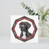 Beautiful Great Dane In A Frame Kaart (Staand voorkant)