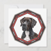 Beautiful Great Dane In A Frame Kaart (Voorkant)