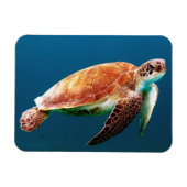Beautiful Green Sea Turtle Magneet (Horizontaal)