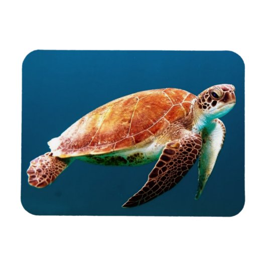 Beautiful Green Sea Turtle Magneet (Horizontaal)