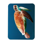 Beautiful Green Sea Turtle Magneet (Verticaal)