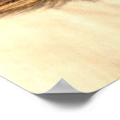 Beautiful grey wild horse poster (Hoek)