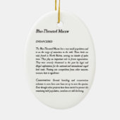 Beautiful Hand-Painted Endangered Macaw Keramisch Ornament (Achterkant)