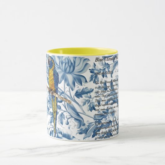 Beautiful Hand-Painted Endangered Macaw Mok (Midden)