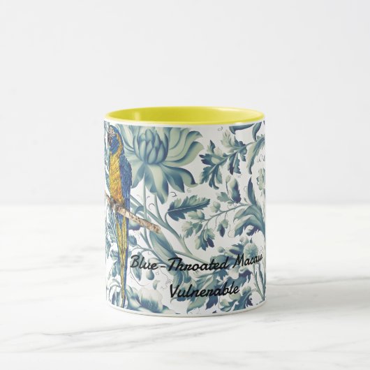 Beautiful Hand-Painted Endangered Macaw Mok (Midden)