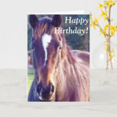Beautiful Horse Birthday Card Kaart (Gele Bloem)