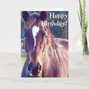 Beautiful Horse Birthday Card Kaart