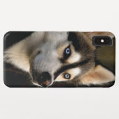 Beautiful Husky Throw Pillow Case-Mate iPhone Case (Achterkant (horizontaal))