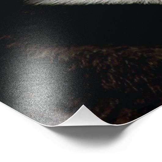 Beautiful Husky Throw Pillow Foto Afdruk (Hoek)