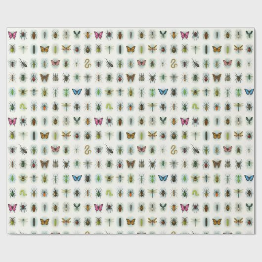 Beautiful insect collection watercolor style bugs  cadeaupapier (Vlak)