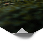 Beautiful Japanese Home & Garden Poster (Hoek)