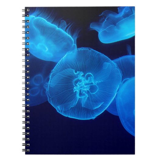 BEAUTIFUL JELLYFISH NOTITIEBOEK (Voorkant)