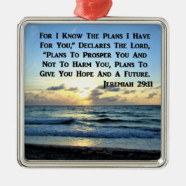 BEAUTIFUL JEREMIAH 29:11 BLAUWE HUIDEN METALEN ORNAMENT