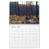 Beautiful Landscapes 20XX Photo Calendar Kalender (Feb 2026)
