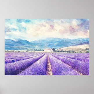 Beautiful lavender fields poster