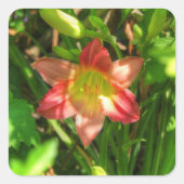 Beautiful Lily Vierkante Sticker (Voorkant)