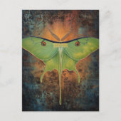 Beautiful Luna Moth Painting Briefkaart (Voorkant)