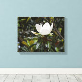 Beautiful Magnolia Flower Canvas Afdruk (Insitu (Houten vloer))
