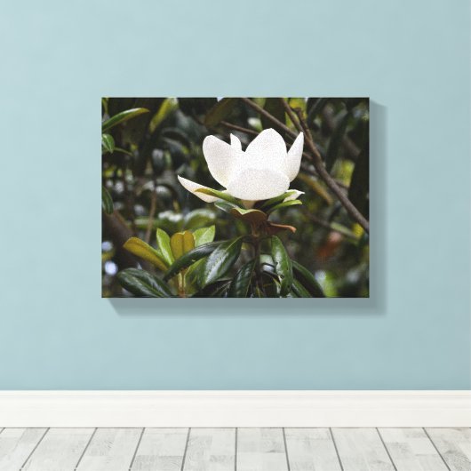 Beautiful Magnolia Flower Canvas Afdruk (Insitu (Houten vloer))