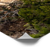 BEAUTIFUL MOUTAIN LANDSCAPE POSTER (Hoek)