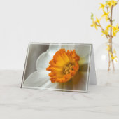 Beautiful Narcissus Bloom Macro Kaart (Gele Bloem)