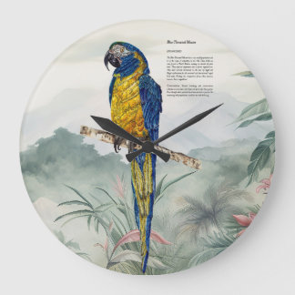 Beautiful nature inspired Endangered Macaw Grote Klok