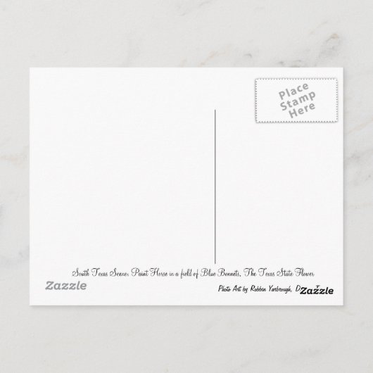 Beautiful Paint Horse in a field of Blue Bonnets Briefkaart (Achterkant)